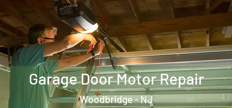  Garage Door Motor Repair Woodbridge - NJ