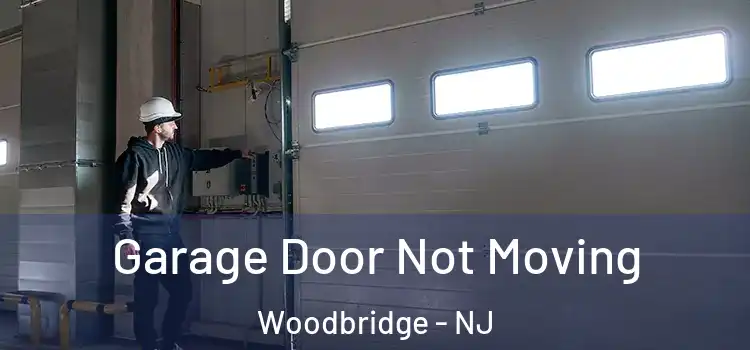  Garage Door Not Moving Woodbridge - NJ