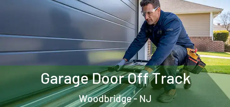  Garage Door Off Track Woodbridge - NJ