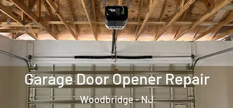  Garage Door Opener Repair Woodbridge - NJ