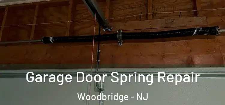  Garage Door Spring Repair Woodbridge - NJ