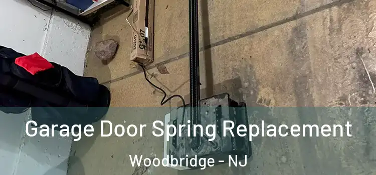  Garage Door Spring Replacement Woodbridge - NJ