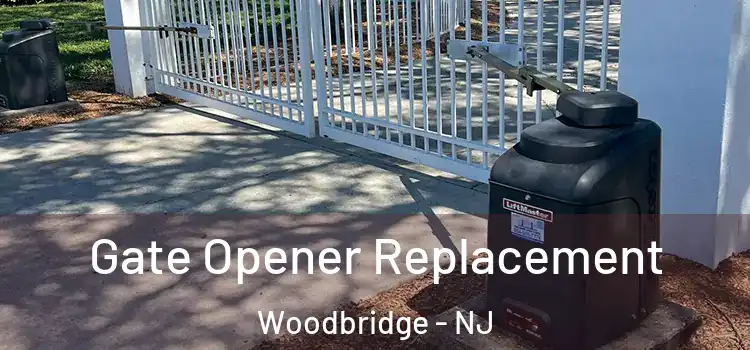 Gate Opener Replacement Woodbridge - NJ