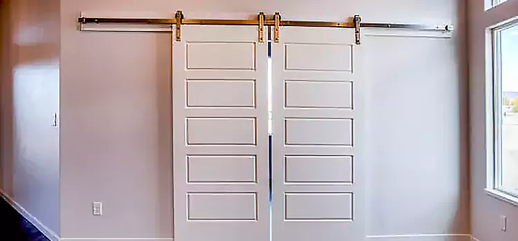 Glass Barn Door with Installation Hardware Kit Woodbridge