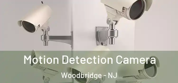  Motion Detection Camera Woodbridge - NJ