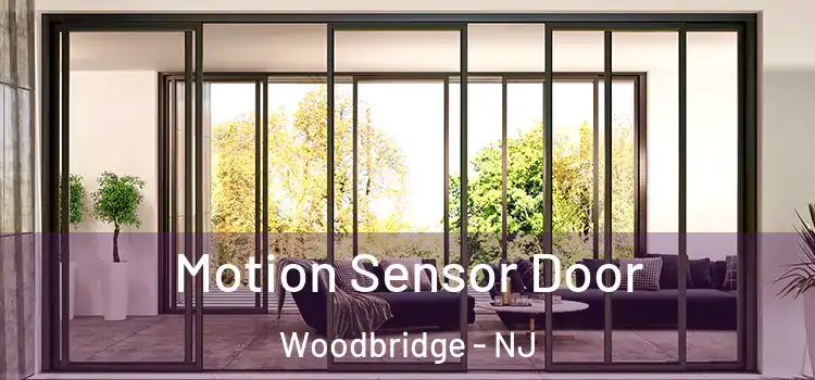 Motion Sensor Door Woodbridge - NJ