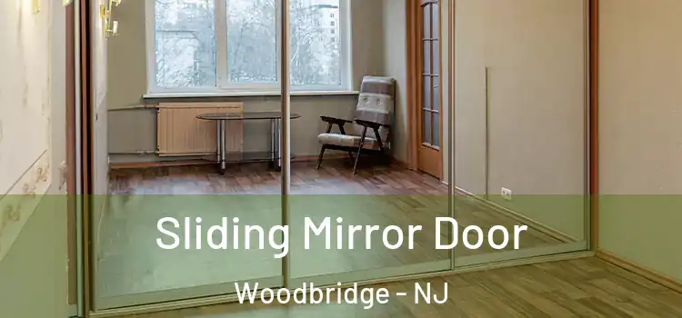  Sliding Mirror Door Woodbridge - NJ